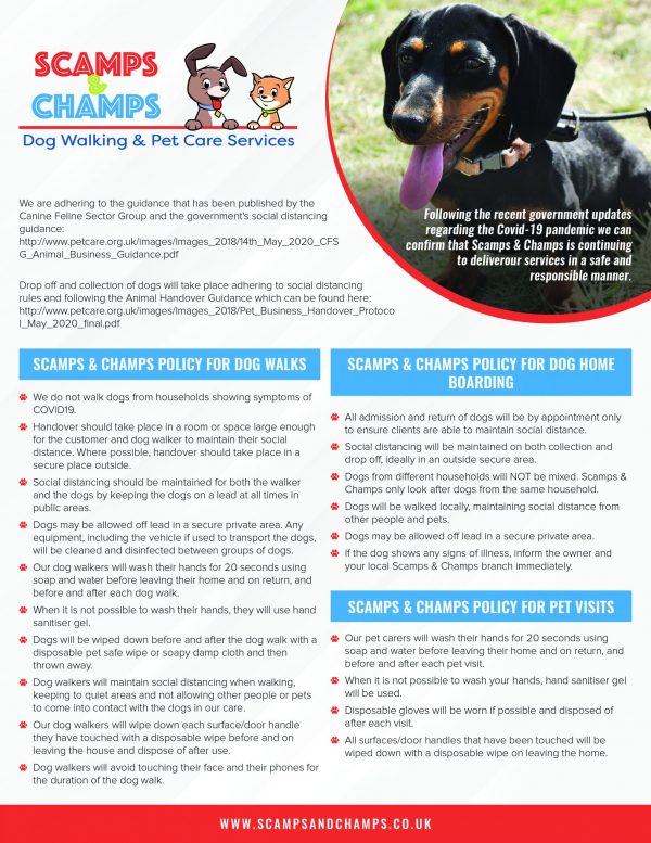 Scamps & Champs Covid Policy