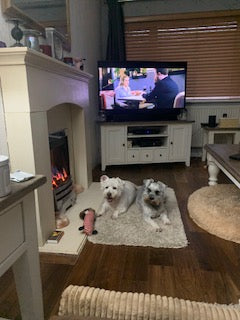 Heartfelt Goodbyes: A Tribute to Molly and Raffy