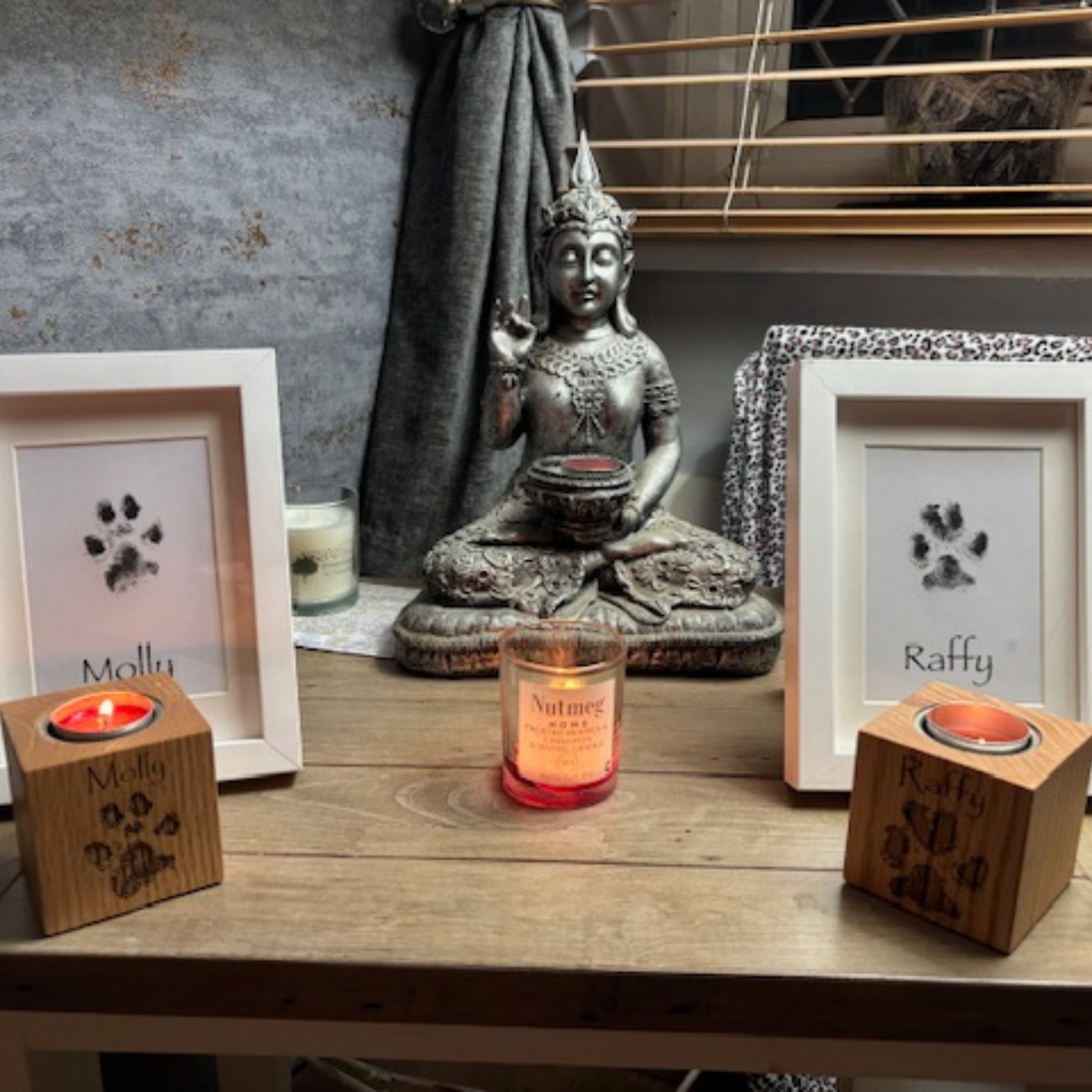 Saying Goodbye to Molly And Raffy: A Journey of Love, Loss, and Compassion