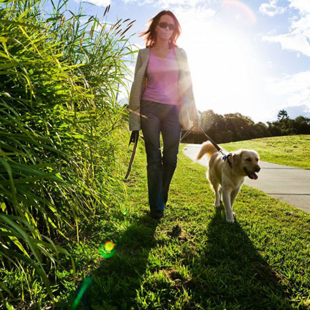 Ensuring Your Pet Sitter Has Pet Sitter Insurance: Why It Matters