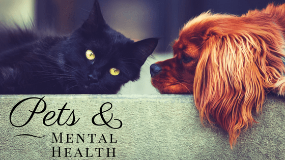 It’s Time to Talk – Mental Health Matters for your Dog