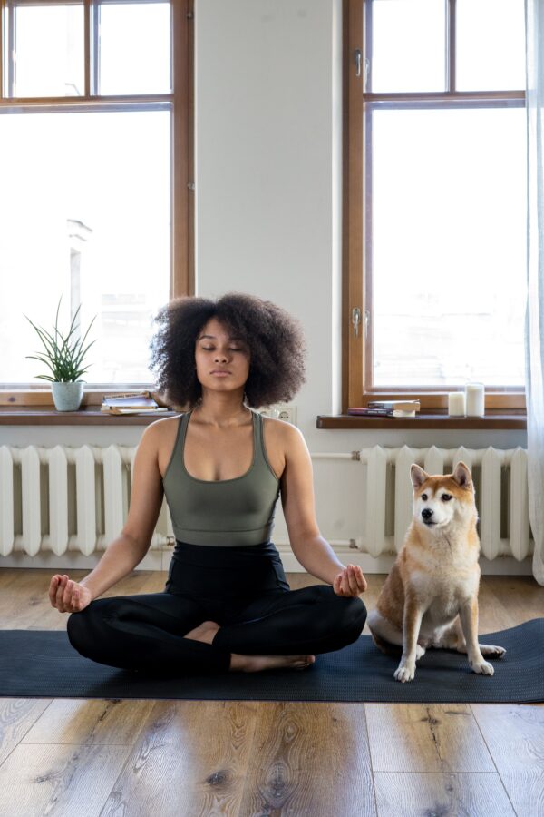 Looking After a Pet’s Mental Health: Is It So Simple?