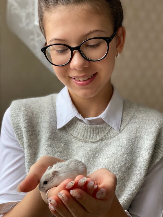 How To Choose The Right Small Furry Pet For Your Kids