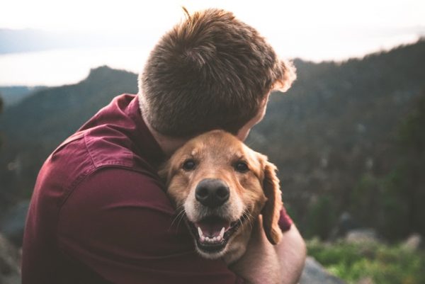 How to Choose A Dog Walker