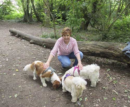 Professional Pet Sitter In Cardiff