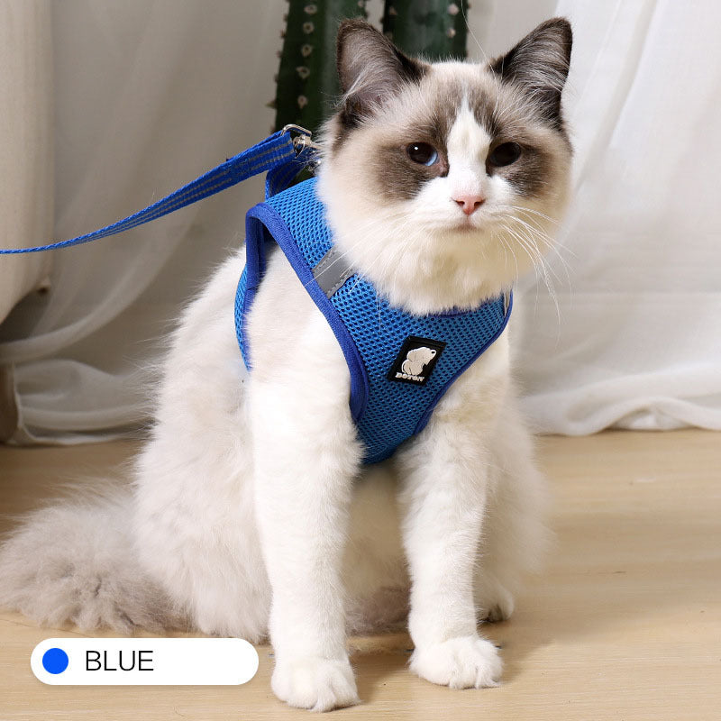 Cat Harness For Safe Fun Outdoor Walks
