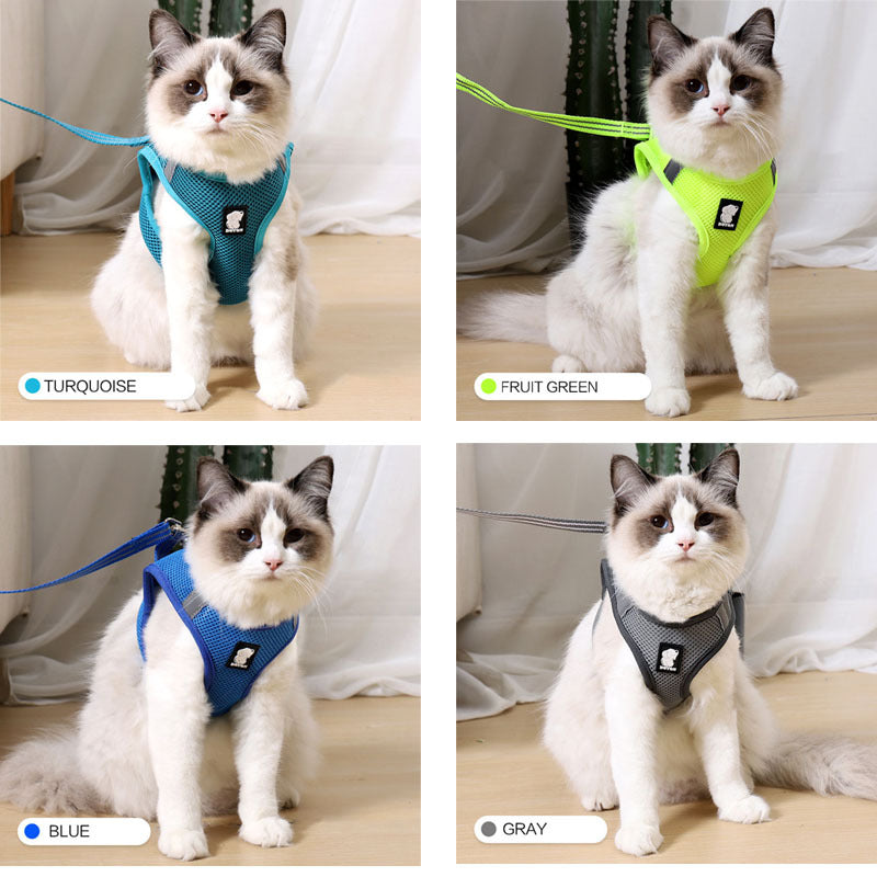 Cat Harness For Safe Fun Outdoor Walks