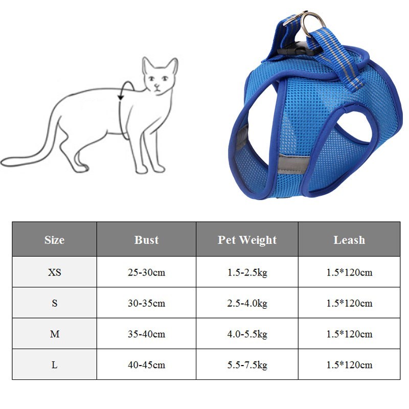 Cat Harness For Safe Fun Outdoor Walks