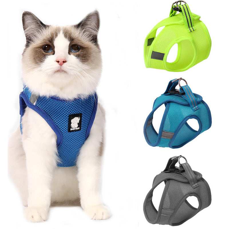 pet accessories