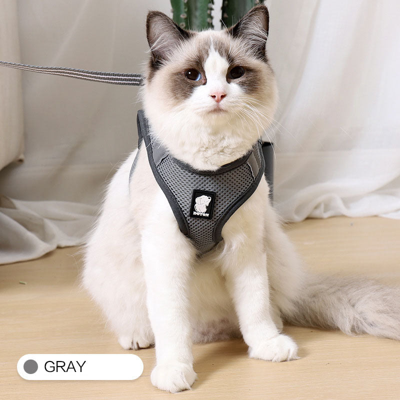 Cat Harness For Safe Fun Outdoor Walks