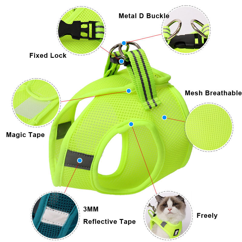 Cat Harness For Safe Fun Outdoor Walks