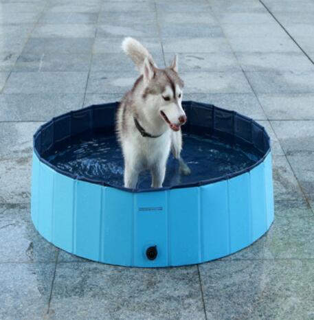 pet supplies
