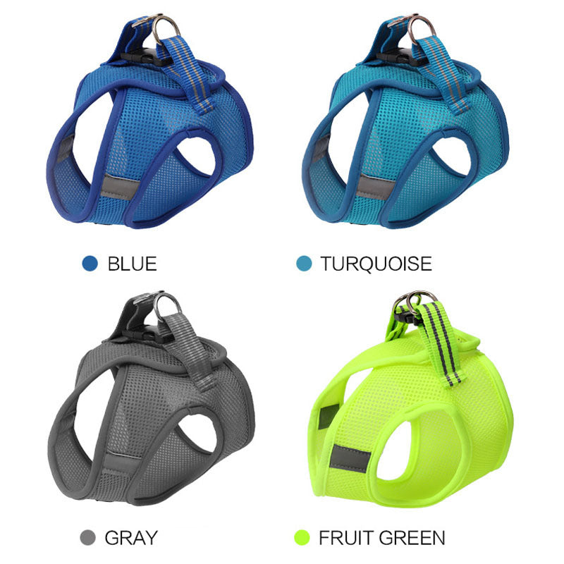 Cat Harness For Safe Fun Outdoor Walks