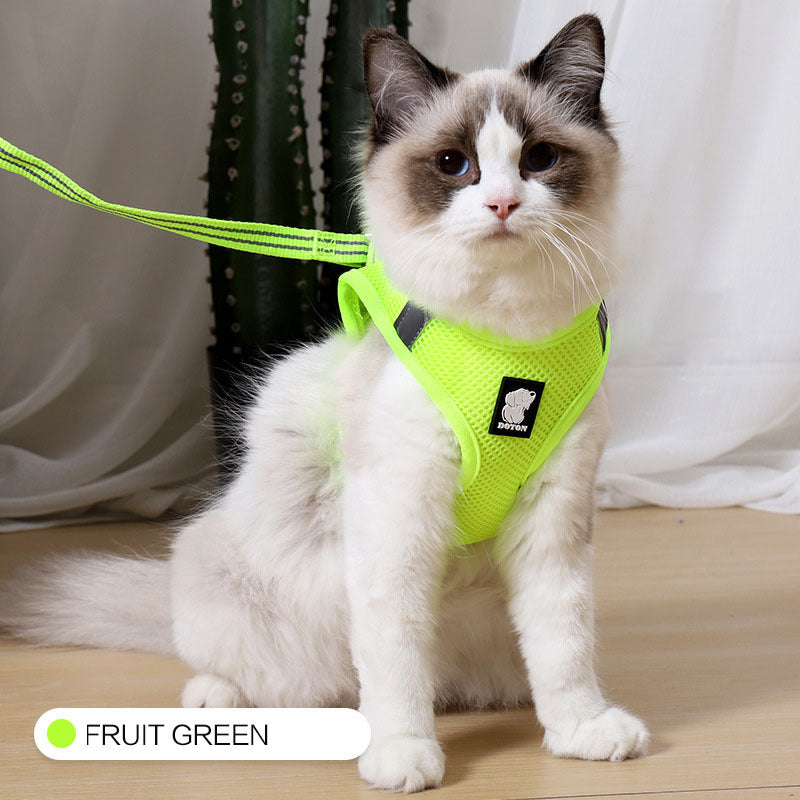 Cat Harness For Safe Fun Outdoor Walks