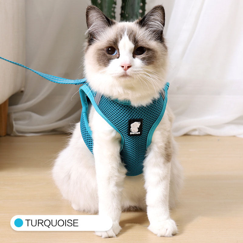 Cat Harness For Safe Fun Outdoor Walks