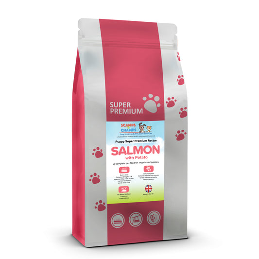 Super Premium Large Breed Puppy Food Salmon With Potato
