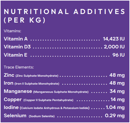 Peptide+ Gastrointestinal Digestive Care – Advanced Nutrition for Sensitive Stomachs