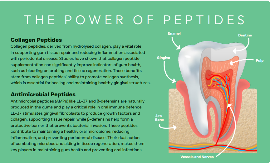 Peptide+ Dental Care – Grain Free Dental Support Dry Dog Food - 10kg