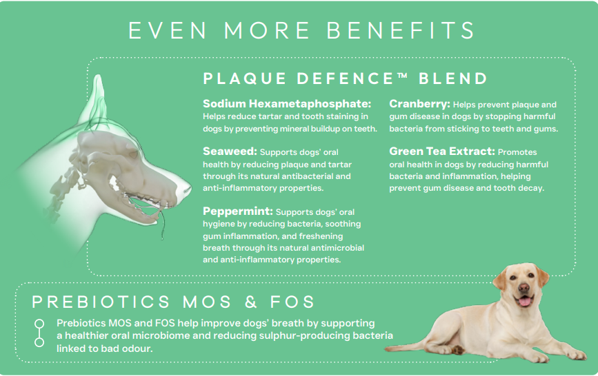 Peptide+ Dental Care – Grain Free Dental Support Dry Dog Food - 10kg