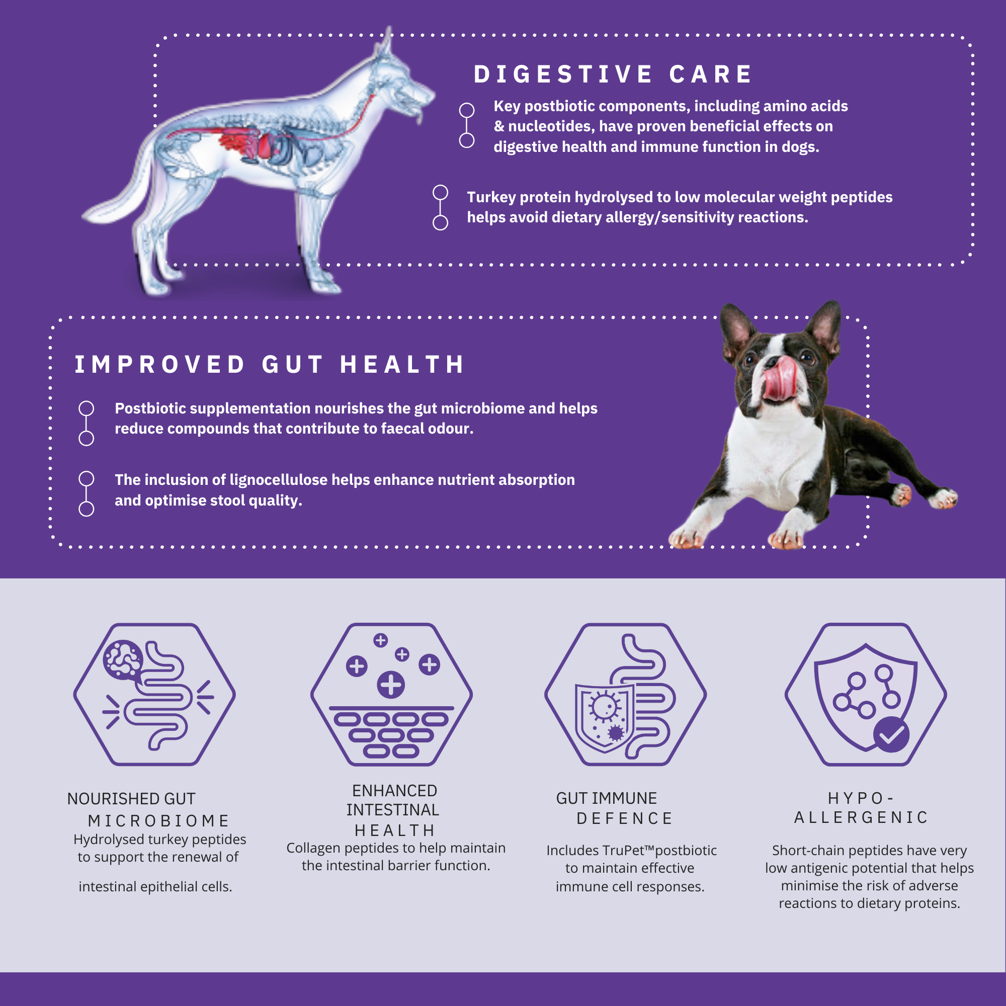 Peptide+ Gastrointestinal Digestive Care – Advanced Nutrition for Sensitive Stomachs