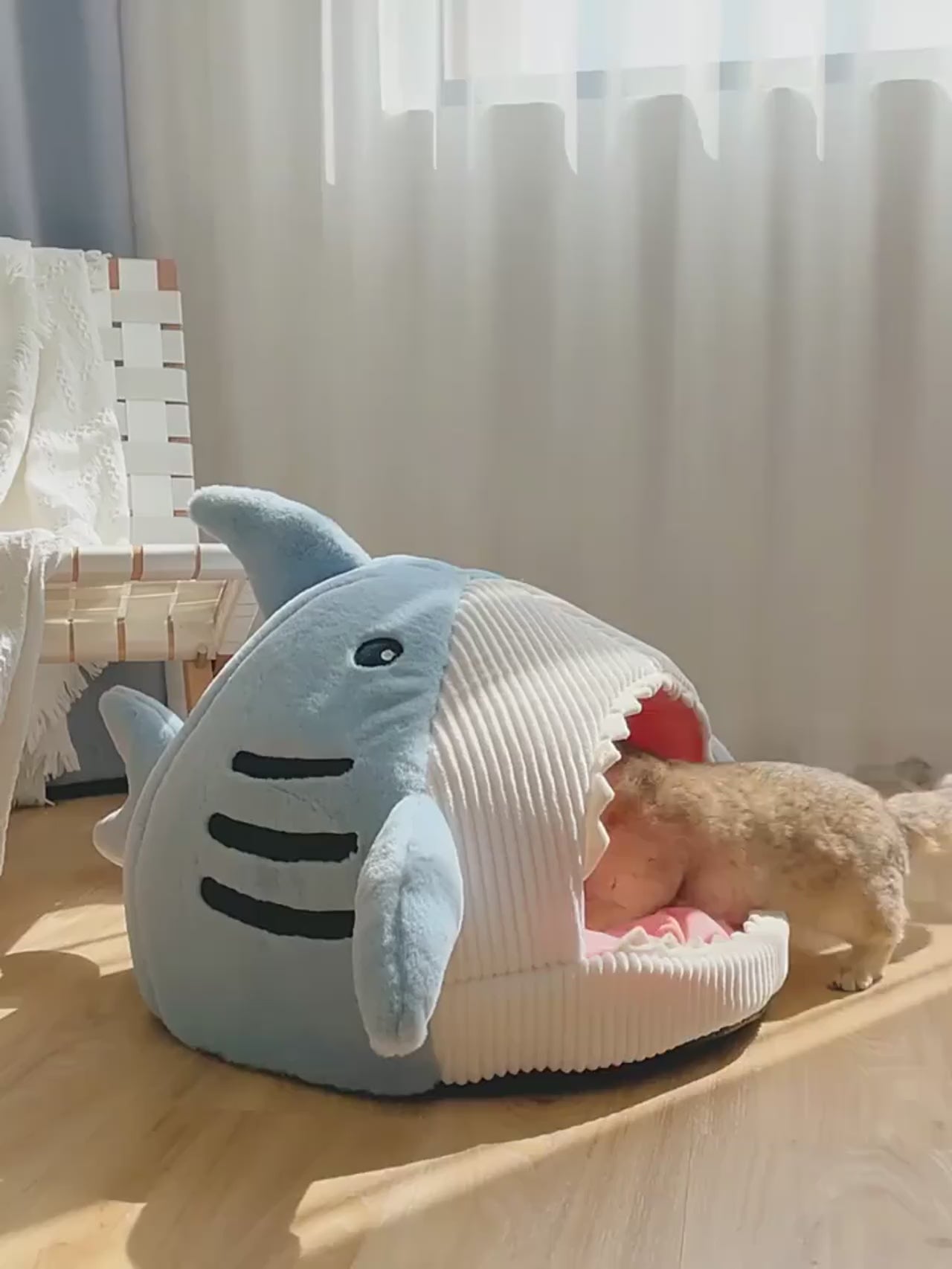 Luxury Plush Shark Cat Bed